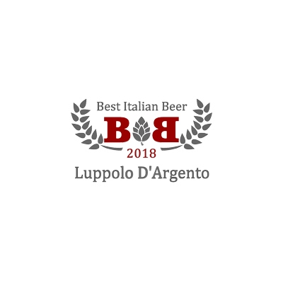 Birra artigianale MIX DEGUSTAZIONE - <b>12 bottiglie - 37,5 cl </b> - BIRRIFICIO DELL'ETNA-LINEA PREMIUM